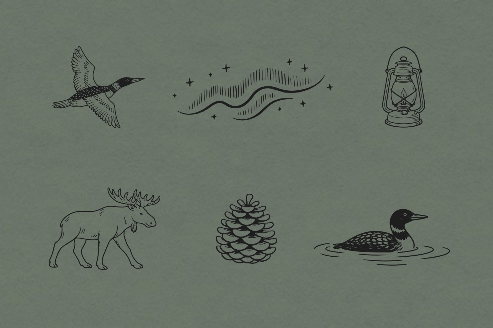 Custom brand illustrations for Samantha Burke Photography: flying loon, northern lights, lantern, moose, pinecone and swimming loon on sage paper